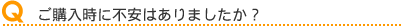 ご購入時に不安はありましたか?