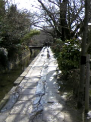 池に映る空が綺麗で思わず撮ってしまった一枚