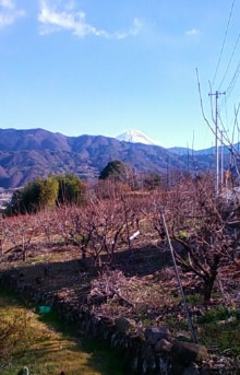 遠くに見える富士山