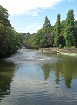 井の頭公園