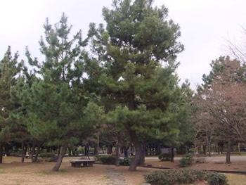 清澄公園