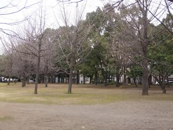 清澄公園