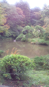 成田公園の中の池