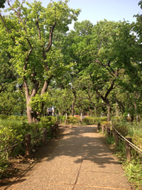 公園