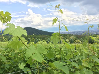 山梨県