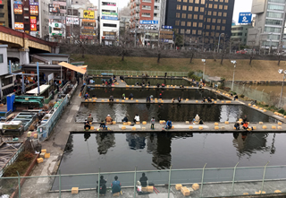 市ヶ谷の釣り堀