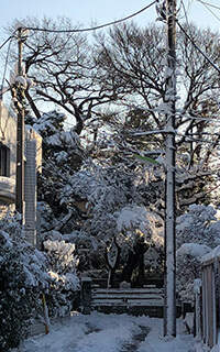 雪景色