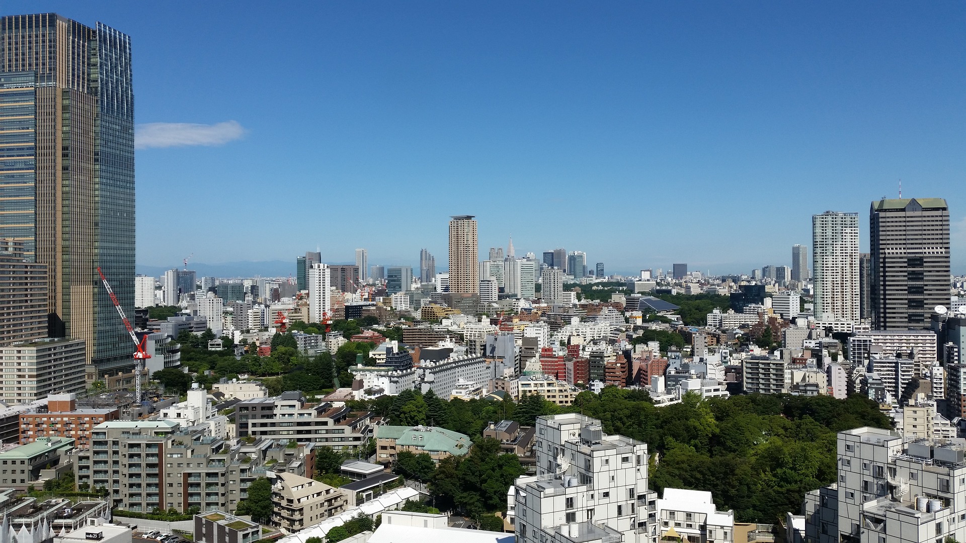 世田谷区の特徴