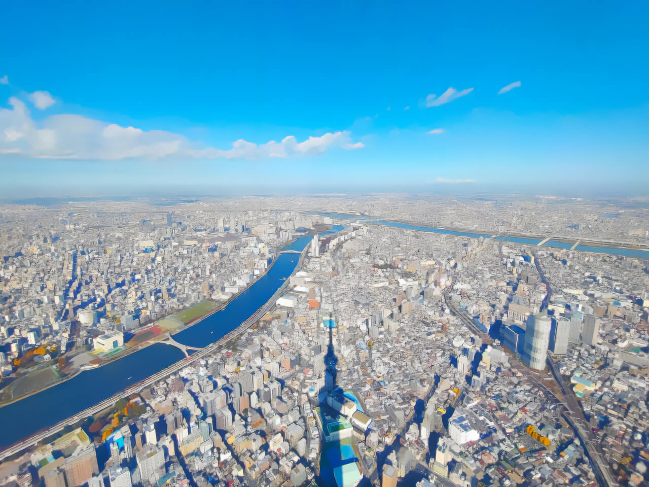 賢い土地選びの方法