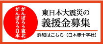 東北関東大震災の義援金募集