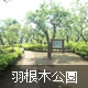 羽根木公園