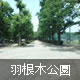 羽根木公園