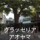 グラッセリア アオヤマ
