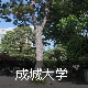成城大学