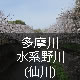 多摩川水系野川(仙川)