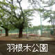 羽根木公園