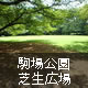 駒場公園芝生広場